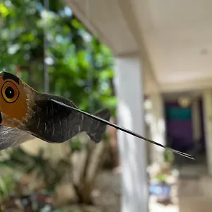 Balché , Bacalar Mexiko